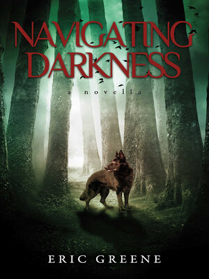 cover image of NAVIGATING DARKNESS